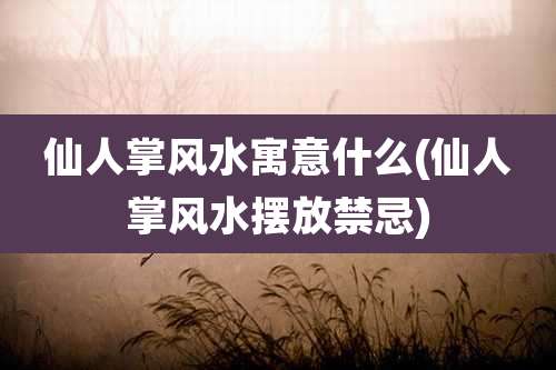仙人掌风水寓意什么(仙人掌风水摆放禁忌)