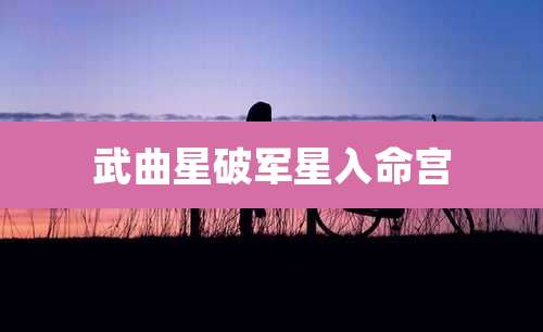 武曲星破军星入命宫
