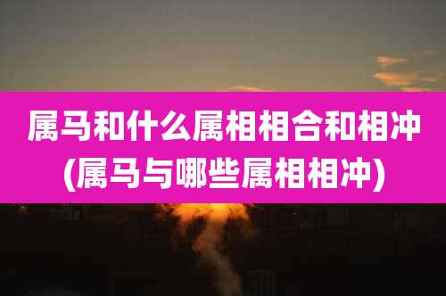 属马和什么属相相合和相冲(属马与哪些属相相冲)
