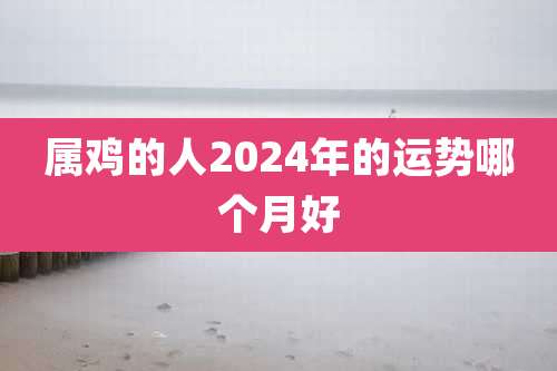 属鸡的人2024年的运势哪个月好