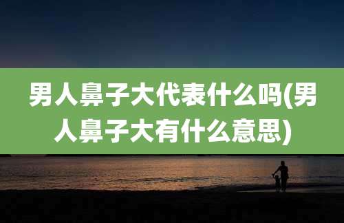 男人鼻子大代表什么吗(男人鼻子大有什么意思)