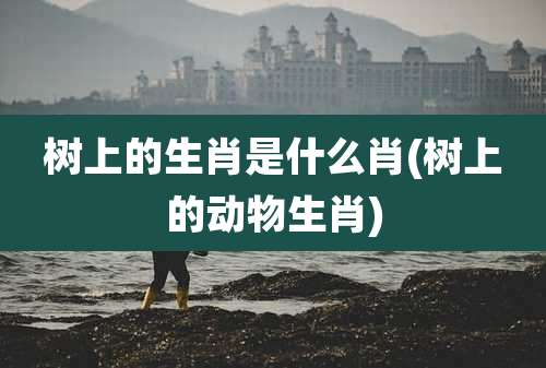 树上的生肖是什么肖(树上的动物生肖)