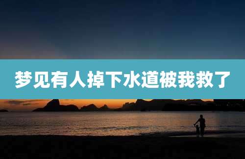 梦见有人掉下水道被我救了