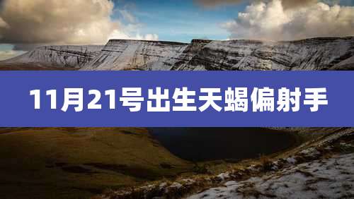 11月21号出生天蝎偏射手