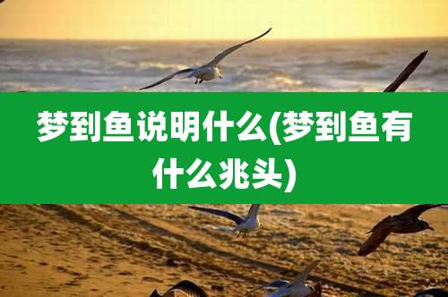 梦到鱼说明什么(梦到鱼有什么兆头)