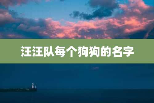 汪汪队每个狗狗的名字