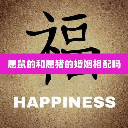 属鼠的和属猪的婚姻相配吗