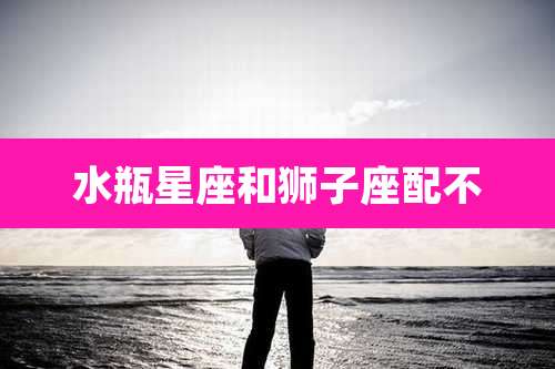 水瓶星座和狮子座配不