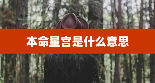 本命星宫是什么意思