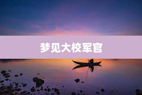 梦见大校军官
