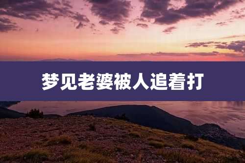 梦见老婆被人追着打