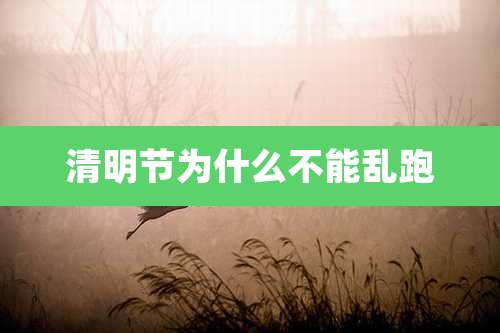 清明节为什么不能乱跑
