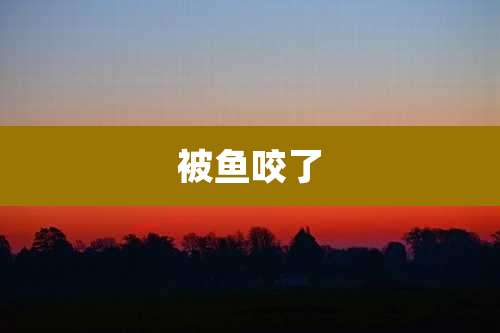 被鱼咬了