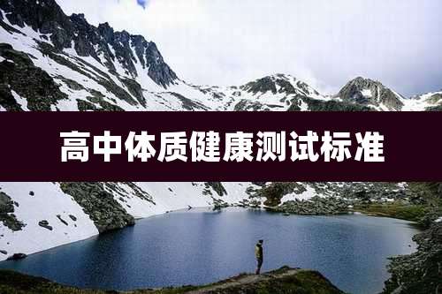 高中体质健康测试标准