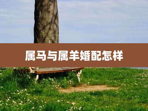 属马与属羊婚配怎样