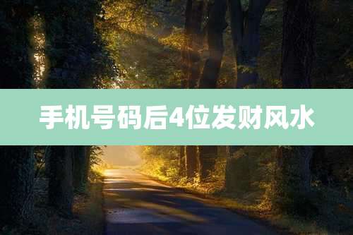 手机号码后4位发财风水
