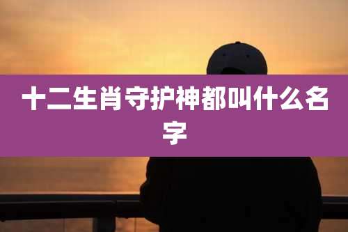 十二生肖守护神都叫什么名字