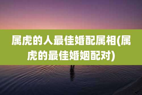 属虎的人最佳婚配属相(属虎的最佳婚姻配对)