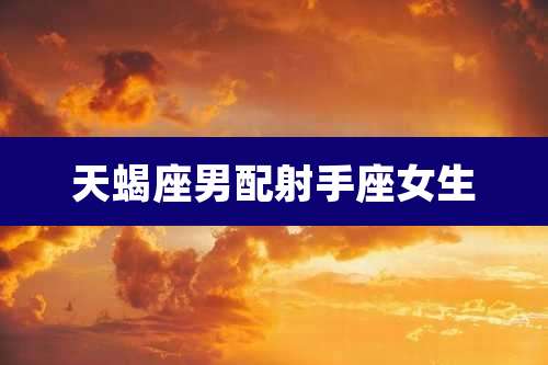 天蝎座男配射手座女生