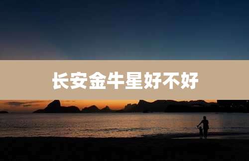长安金牛星好不好
