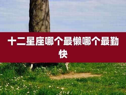 十二星座哪个最懒哪个最勤快