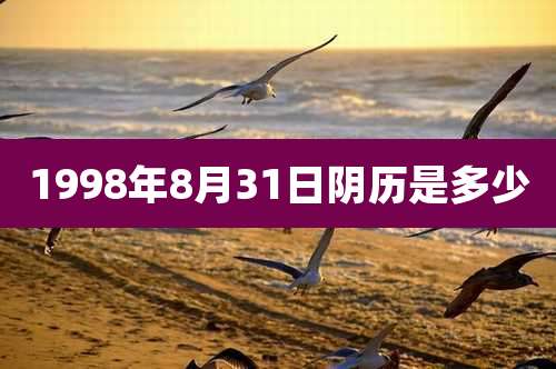 1998年8月31日阴历是多少