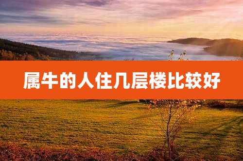 属牛的人住几层楼比较好