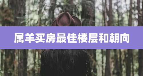 属羊买房最佳楼层和朝向