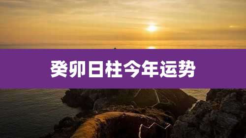 癸卯日柱今年运势