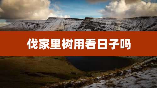 伐家里树用看日子吗