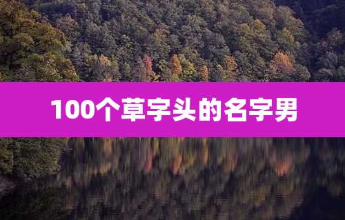 100个草字头的名字男