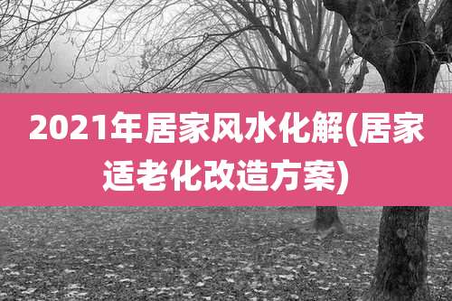 2021年居家风水化解(居家适老化改造方案)