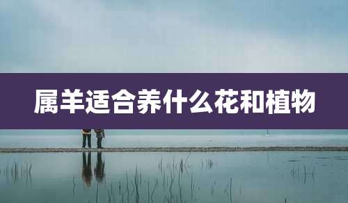 属羊适合养什么花和植物