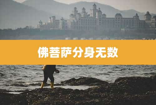 佛菩萨分身无数