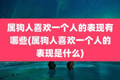 属狗人喜欢一个人的表现有哪些(属狗人喜欢一个人的表现是什么)