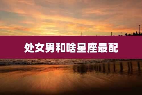 处女男和啥星座最配