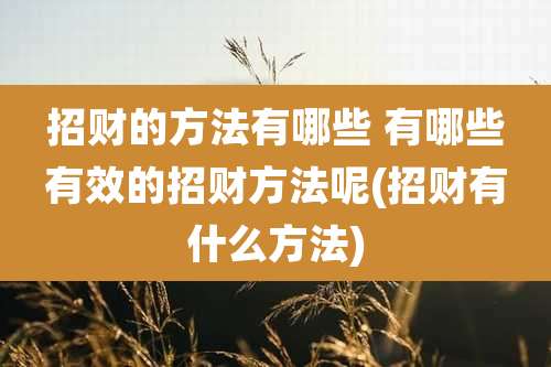 招财的方法有哪些 有哪些有效的招财方法呢(招财有什么方法)