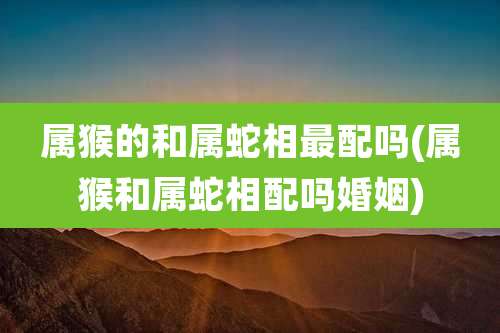 属猴的和属蛇相最配吗(属猴和属蛇相配吗婚姻)