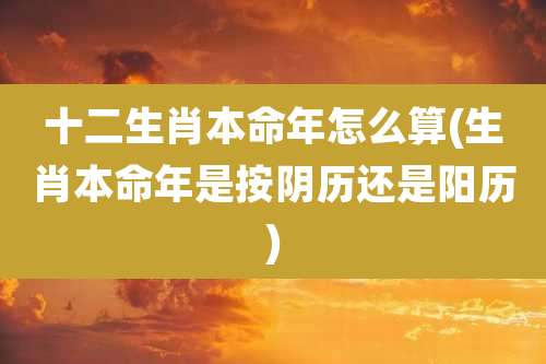 十二生肖本命年怎么算(生肖本命年是按阴历还是阳历)