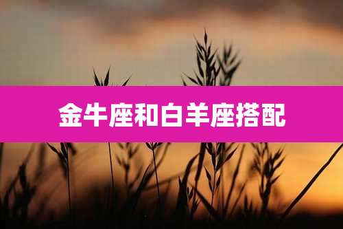 金牛座和白羊座搭配