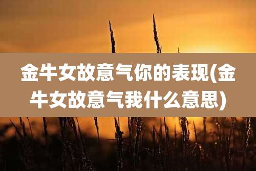 金牛女故意气你的表现(金牛女故意气我什么意思)
