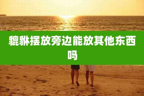 貔貅摆放旁边能放其他东西吗