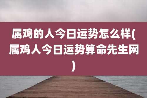 属鸡的人今日运势怎么样(属鸡人今日运势算命先生网)