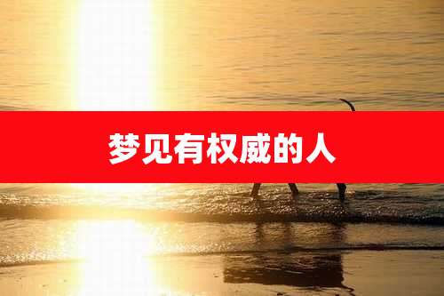 梦见有权威的人