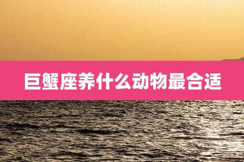 巨蟹座养什么动物最合适