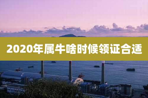 2020年属牛啥时候领证合适