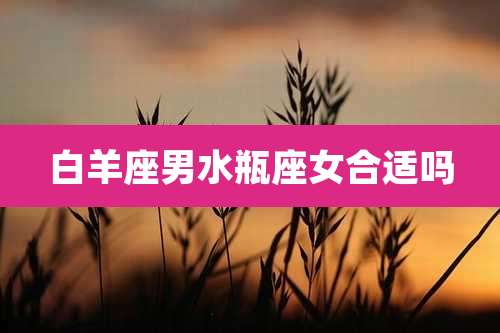 白羊座男水瓶座女合适吗