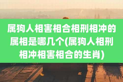 属狗人相害相合相刑相冲的属相是哪几个(属狗人相刑相冲相害相合的生肖)