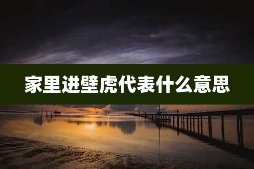 家里进壁虎代表什么意思