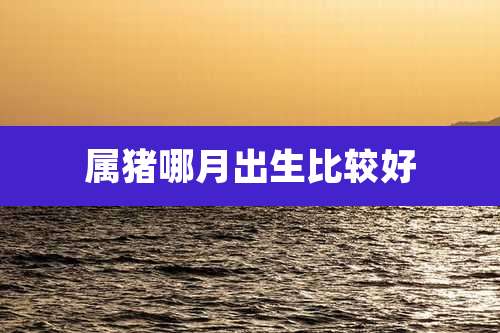 属猪哪月出生比较好